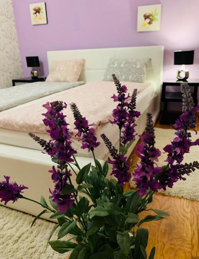 Casa Central Luxury ออราแด ภายนอก รูปภาพ